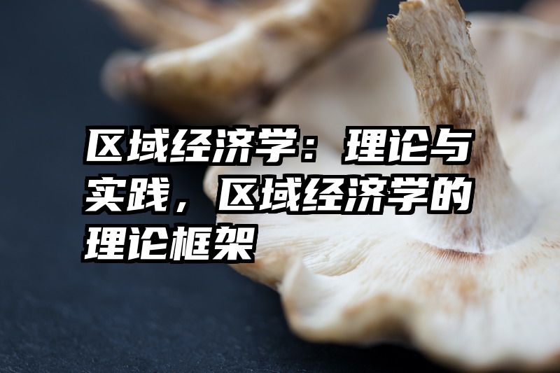 区域经济学：理论与实践，区域经济学的理论框架