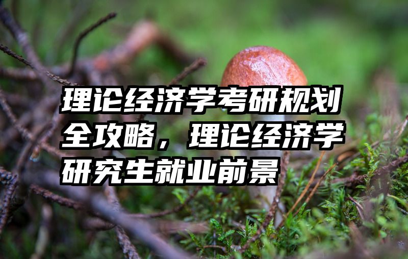 理论经济学考研规划全攻略，理论经济学研究生就业前景