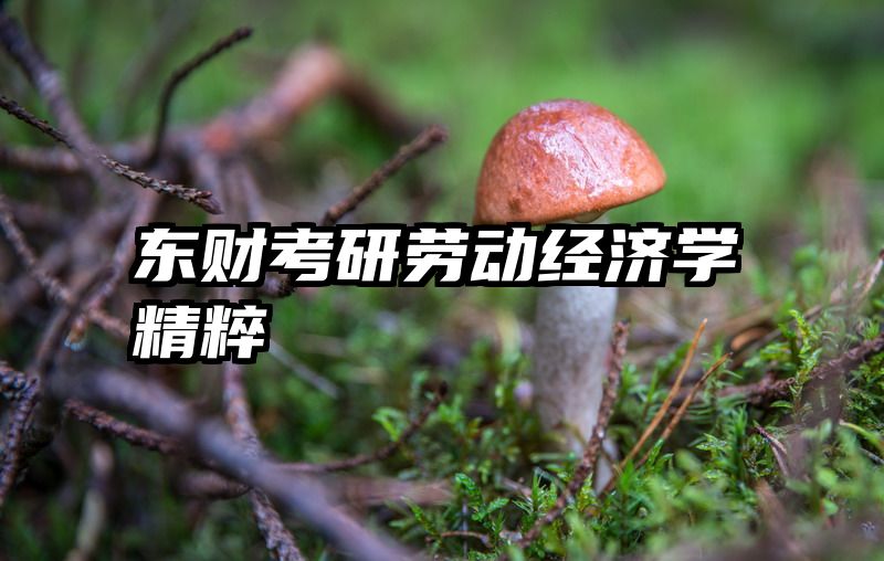 东财考研劳动经济学精粹