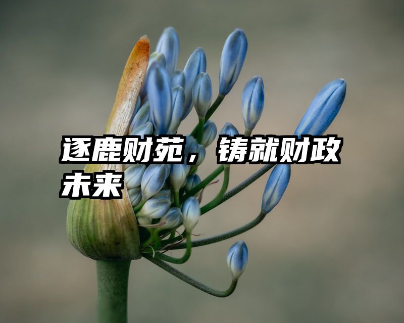 逐鹿财苑，铸就财政未来