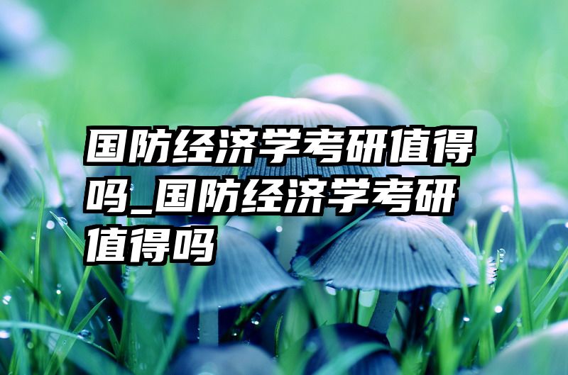 国防经济学考研值得吗_国防经济学考研值得吗