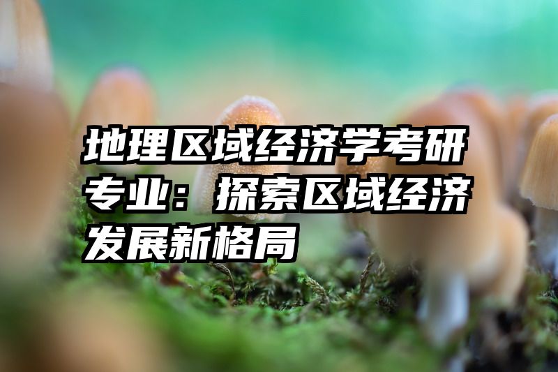 地理区域经济学考研专业：探索区域经济发展新格局