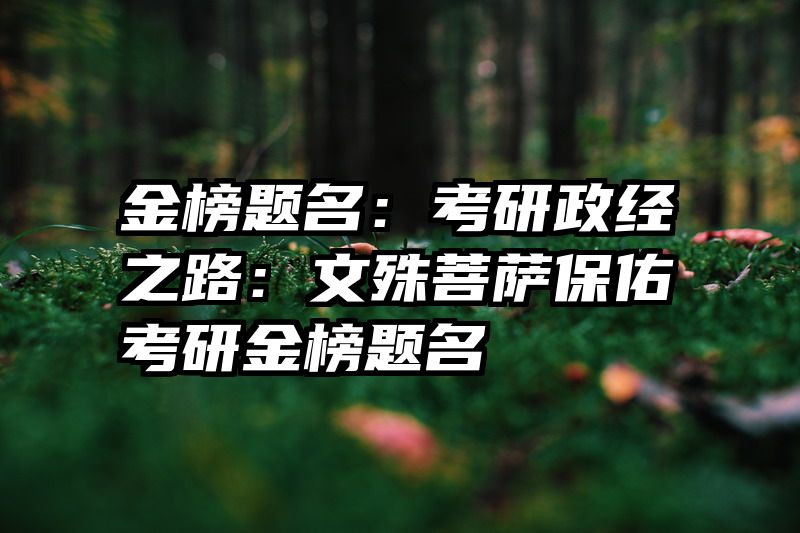 金榜题名：考研政经之路：文殊菩萨保佑考研金榜题名