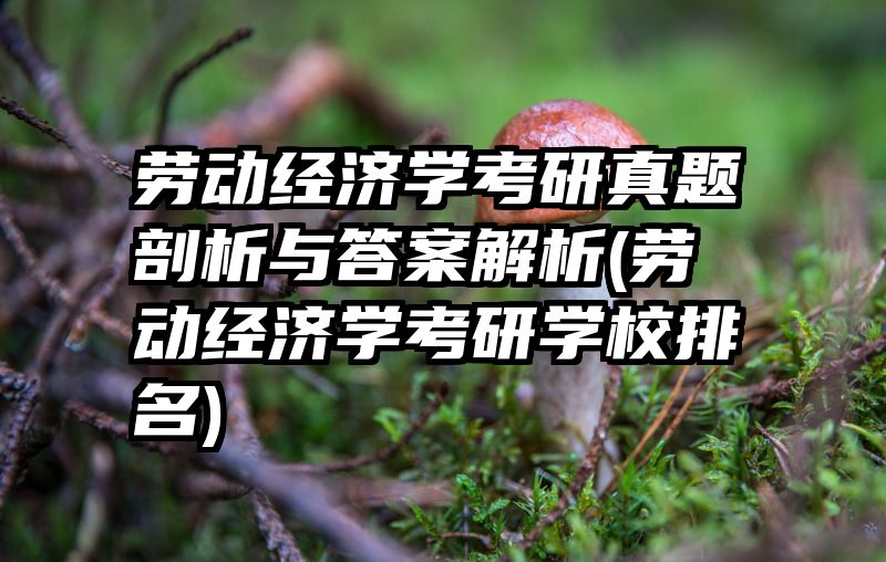 劳动经济学考研真题剖析与答案解析(劳动经济学考研学校排名)