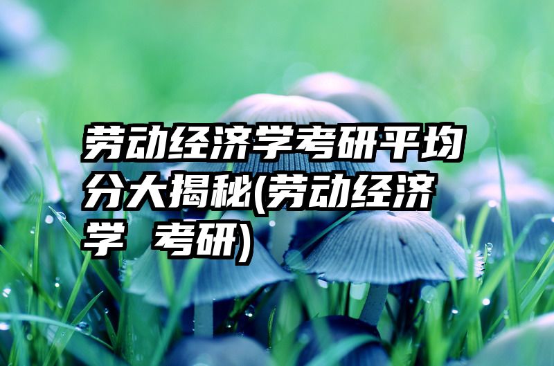 劳动经济学考研平均分大揭秘(劳动经济学 考研)