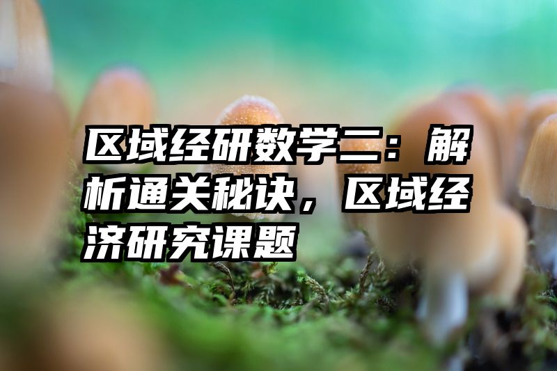 区域经研数学二：解析通关秘诀，区域经济研究课题