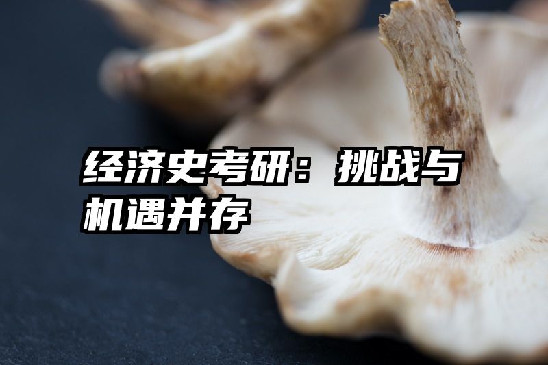 经济史考研：挑战与机遇并存