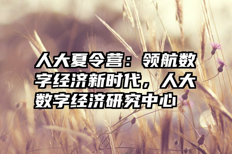 人大夏令营：领航数字经济新时代，人大数字经济研究中心