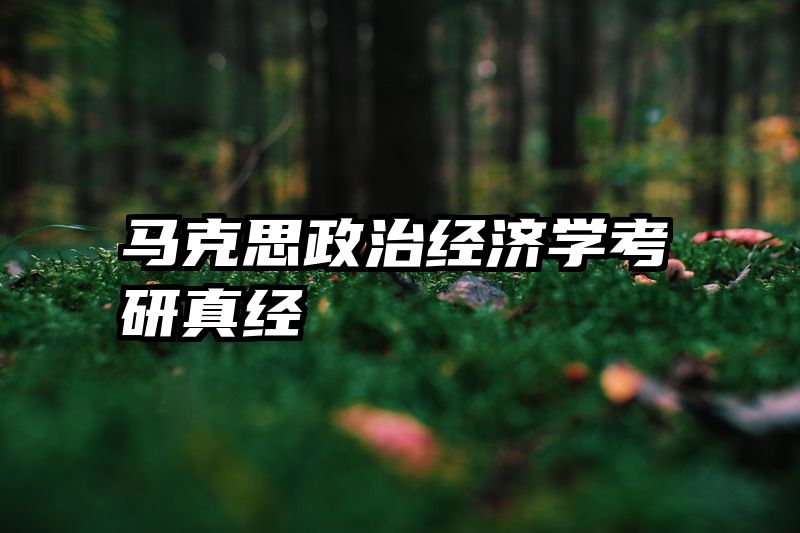 马克思政治经济学考研真经