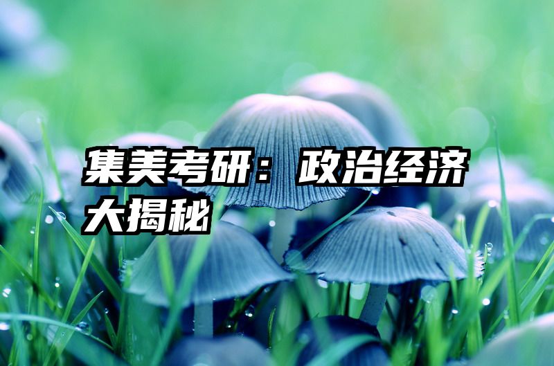 集美考研：政治经济大揭秘