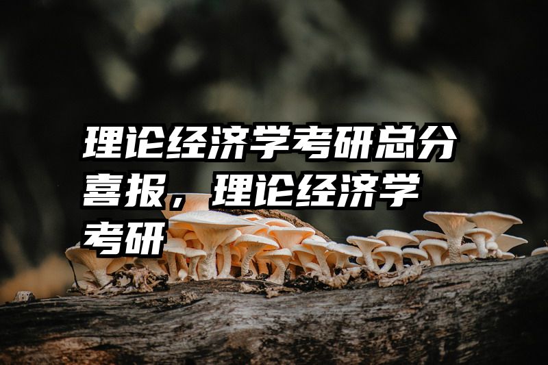 理论经济学考研总分喜报，理论经济学 考研