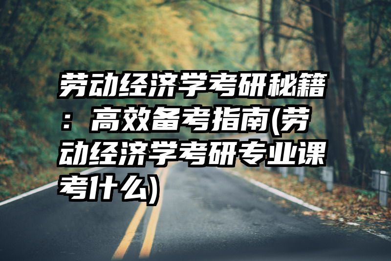 劳动经济学考研秘籍：高效备考指南(劳动经济学考研专业课考什么)