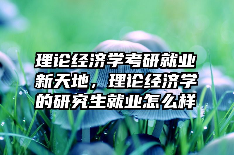 理论经济学考研就业新天地，理论经济学的研究生就业怎么样