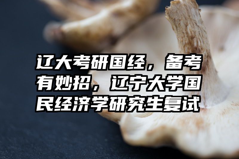 辽大考研国经，备考有妙招，辽宁大学国民经济学研究生复试