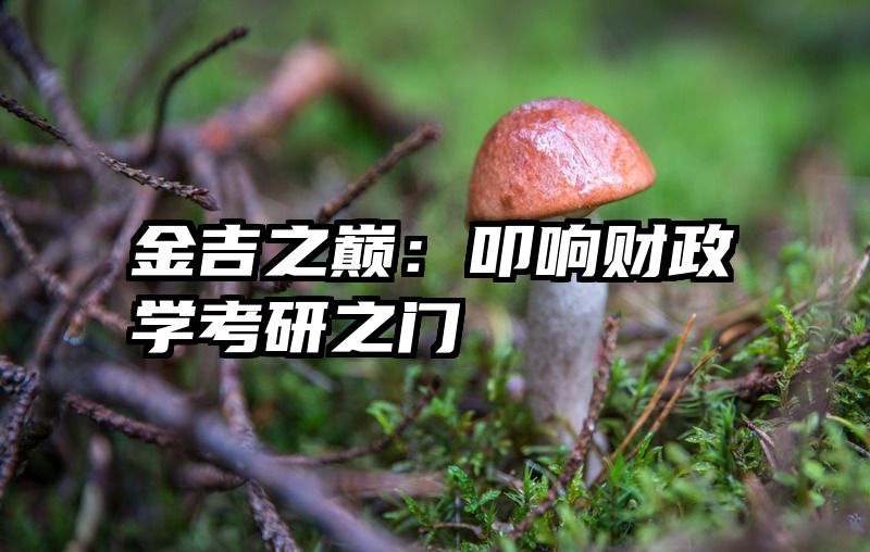 金吉之巅：叩响财政学考研之门