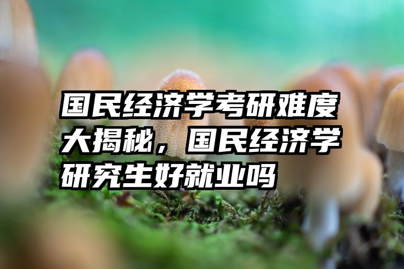 国民经济学考研难度大揭秘，国民经济学研究生好就业吗