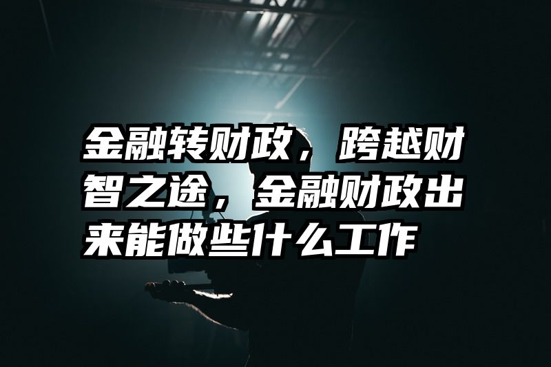 金融转财政，跨越财智之途，金融财政出来能做些什么工作