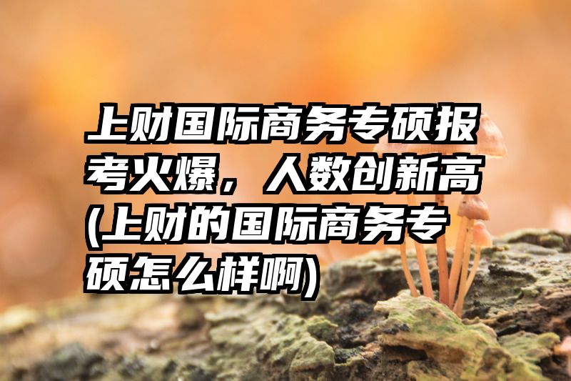 上财国际商务专硕报考火爆，人数创新高(上财的国际商务专硕怎么样啊)