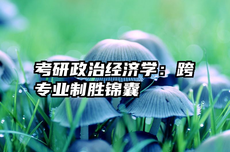 考研政治经济学：跨专业制胜锦囊