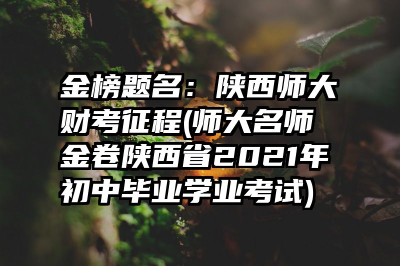 金榜题名：陕西师大财考征程(师大名师金卷陕西省2021年初中毕业学业考试)