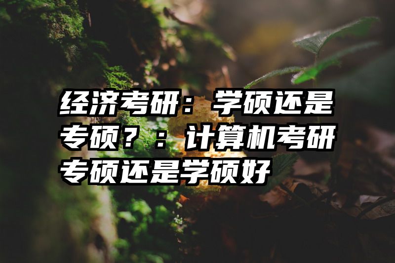 经济考研：学硕还是专硕？：计算机考研专硕还是学硕好