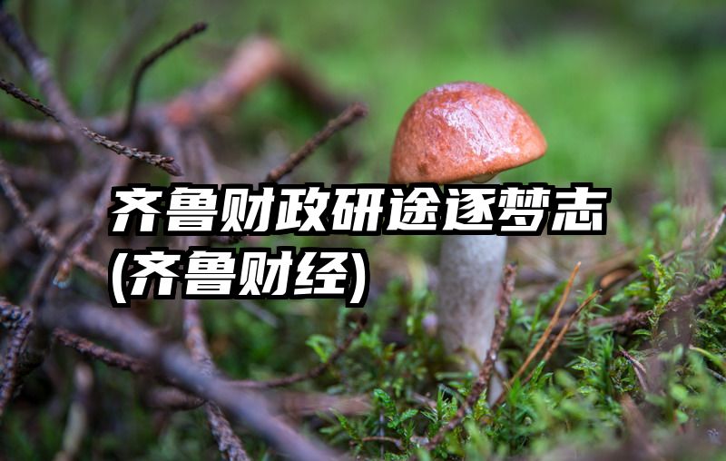 齐鲁财政研途逐梦志(齐鲁财经)