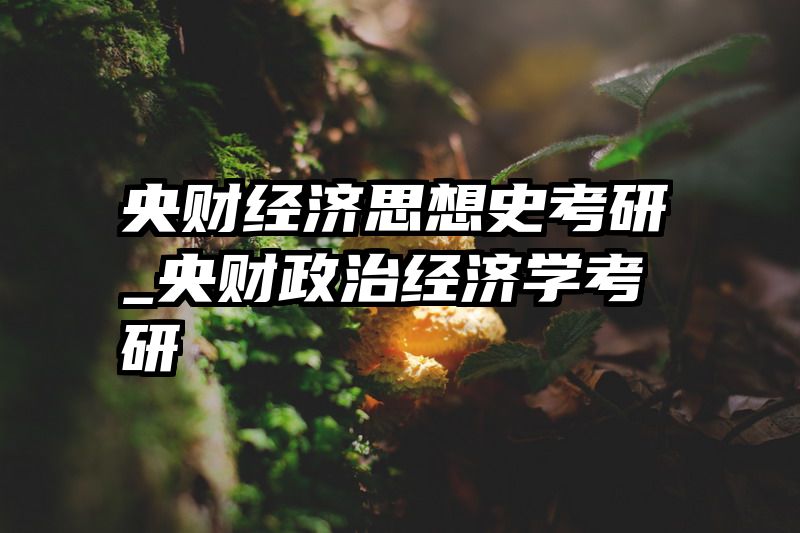 央财经济思想史考研_央财政治经济学考研