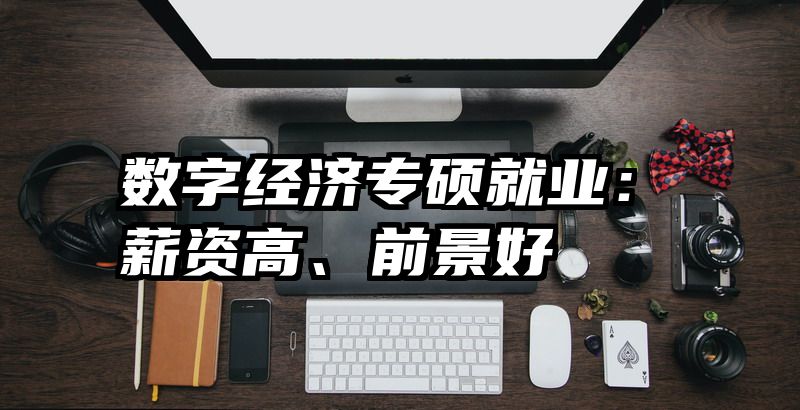 数字经济专硕就业：薪资高、前景好