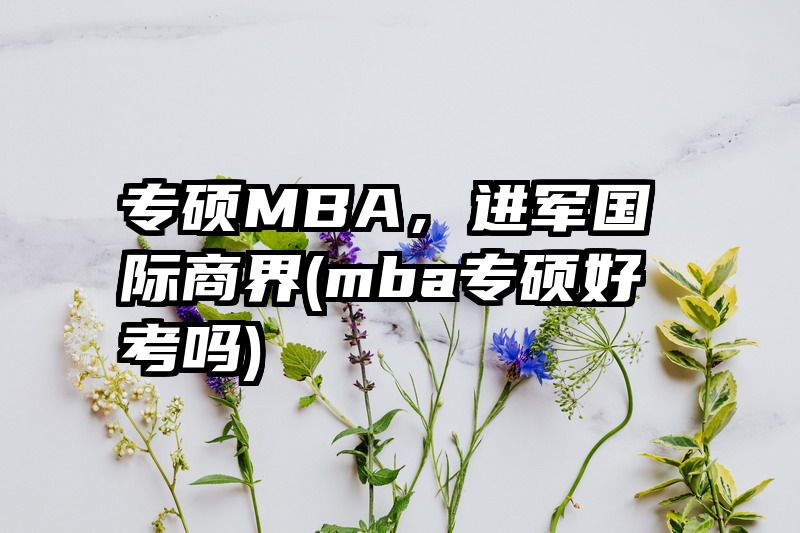 专硕MBA，进军国际商界(mba专硕好考吗)