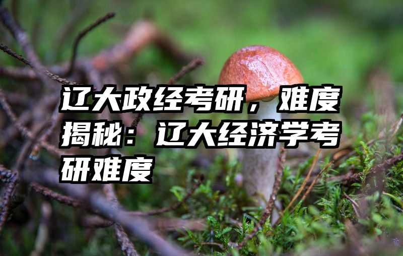 辽大政经考研，难度揭秘：辽大经济学考研难度