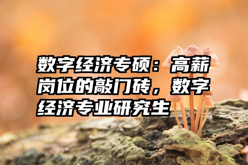 数字经济专硕：高薪岗位的敲门砖，数字经济专业研究生