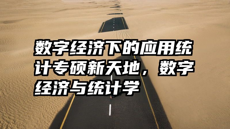 数字经济下的应用统计专硕新天地，数字经济与统计学