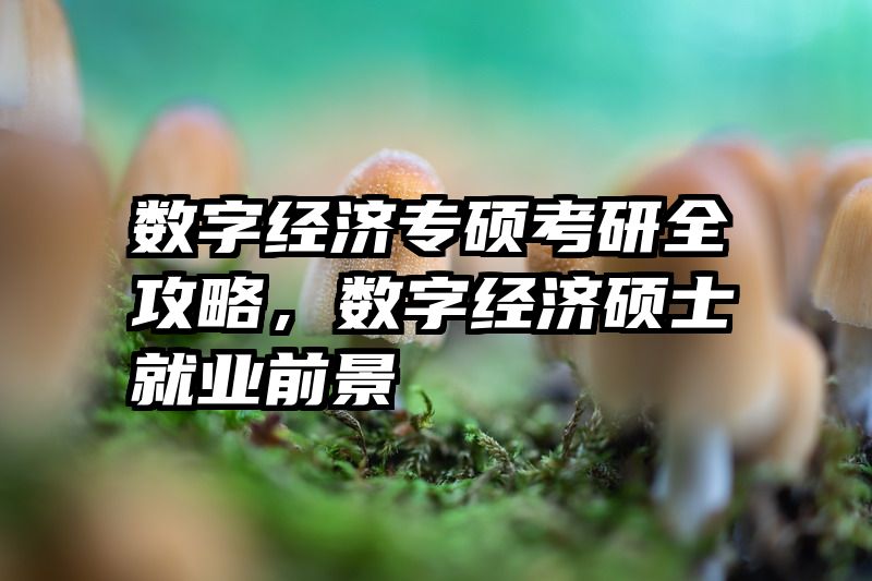 数字经济专硕考研全攻略，数字经济硕士就业前景