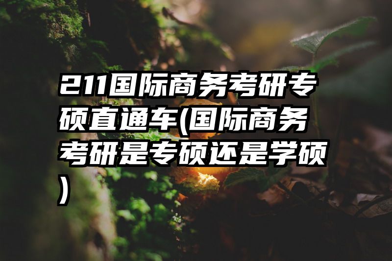 211国际商务考研专硕直通车(国际商务考研是专硕还是学硕)