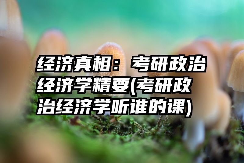 经济真相：考研政治经济学精要(考研政治经济学听谁的课)