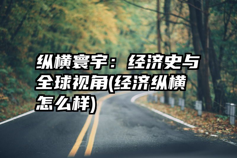 纵横寰宇：经济史与全球视角(经济纵横怎么样)