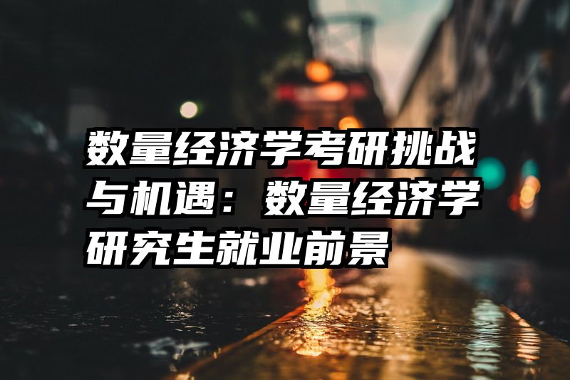 数量经济学考研挑战与机遇：数量经济学研究生就业前景