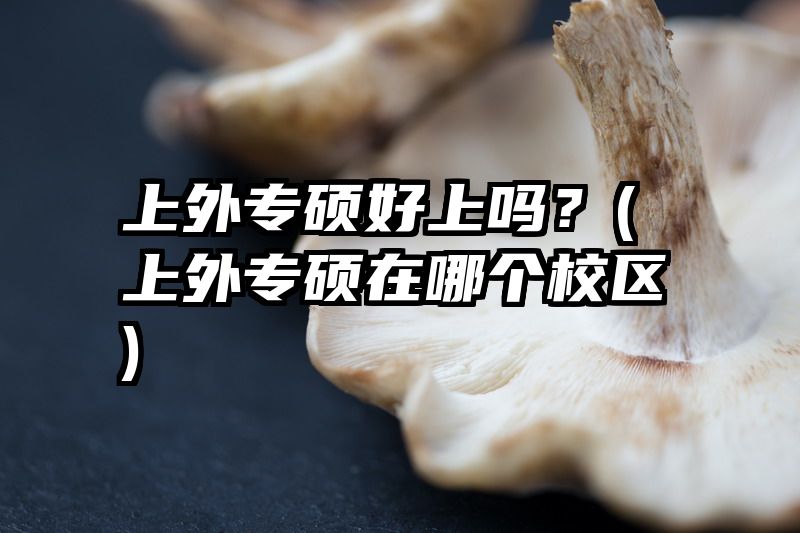 上外专硕好上吗？(上外专硕在哪个校区)