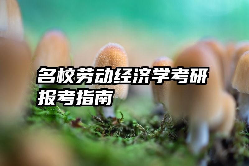 名校劳动经济学考研报考指南