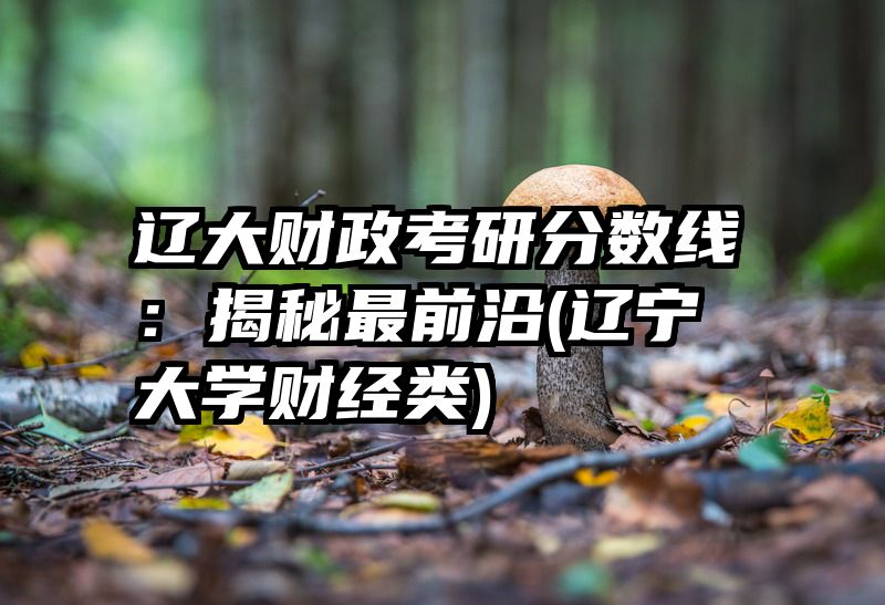 辽大财政考研分数线：揭秘最前沿(辽宁大学财经类)