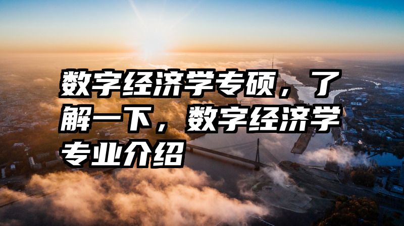 数字经济学专硕，了解一下，数字经济学专业介绍