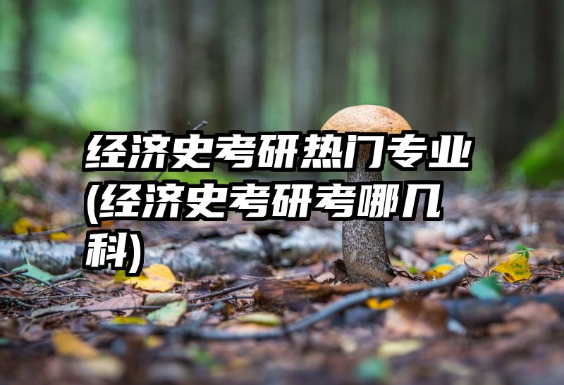 经济史考研热门专业(经济史考研考哪几科)