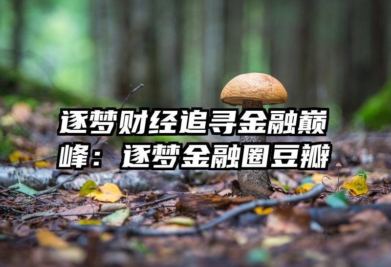 逐梦财经追寻金融巅峰：逐梦金融圈豆瓣