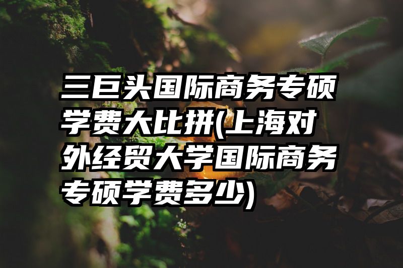 三巨头国际商务专硕学费大比拼(上海对外经贸大学国际商务专硕学费多少)