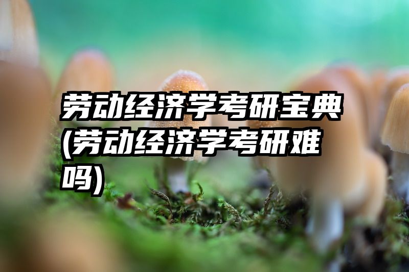 劳动经济学考研宝典(劳动经济学考研难吗)