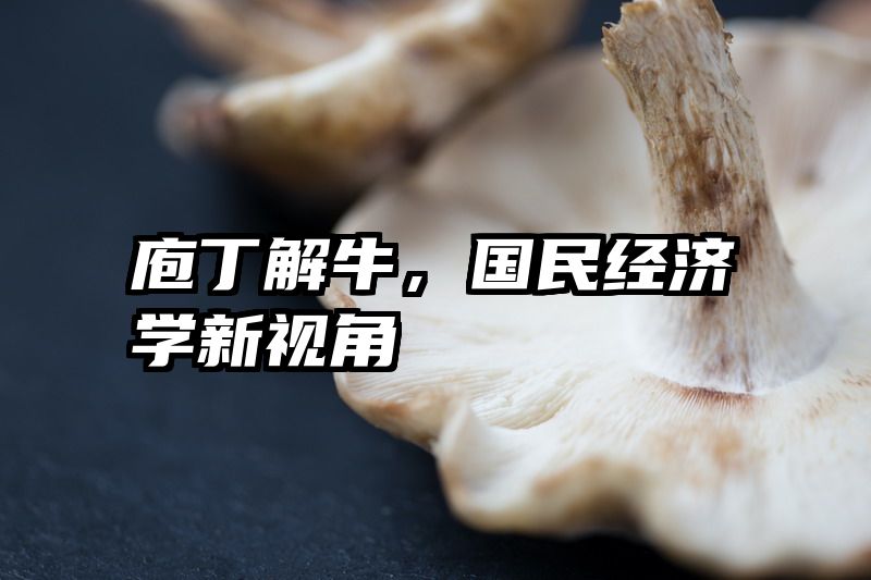 庖丁解牛，国民经济学新视角