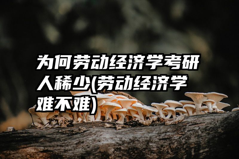 为何劳动经济学考研人稀少(劳动经济学难不难)