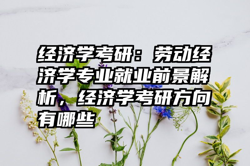 经济学考研：劳动经济学专业就业前景解析，经济学考研方向有哪些