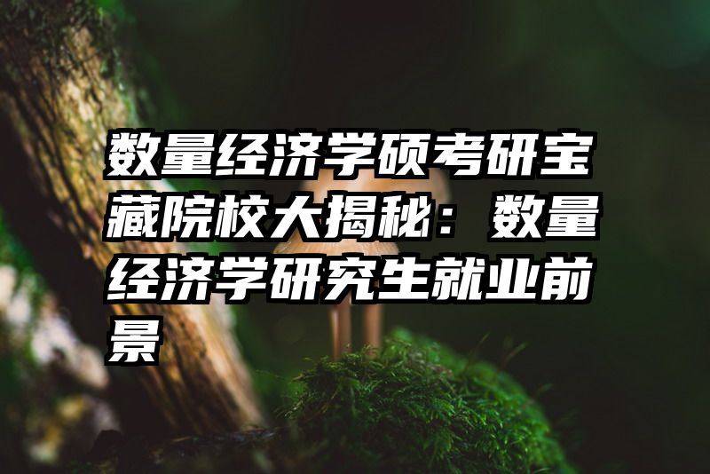 数量经济学硕考研宝藏院校大揭秘：数量经济学研究生就业前景