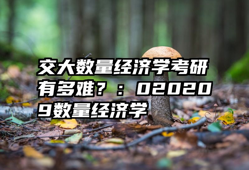 交大数量经济学考研有多难？：020209数量经济学